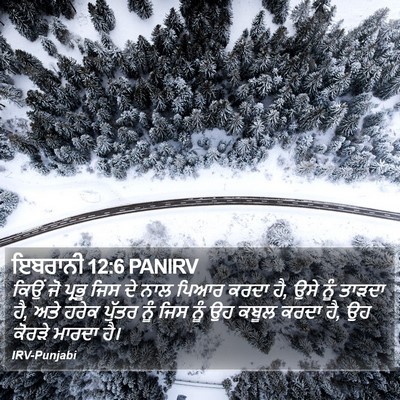 ਇਬਰਾਨੀ 12:6 PANIRV Bible Verse Image