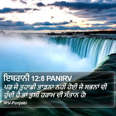 ਇਬਰਾਨੀ 12:8 PANIRV Bible Verse Image
