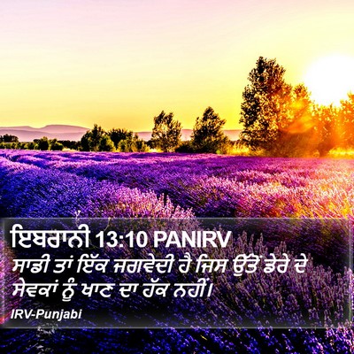 ਇਬਰਾਨੀ 13:10 PANIRV Bible Verse Image