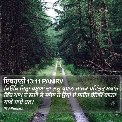 ਇਬਰਾਨੀ 13:11 PANIRV Bible Verse Image