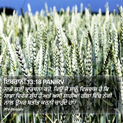 ਇਬਰਾਨੀ 13:18 PANIRV Bible Verse Image