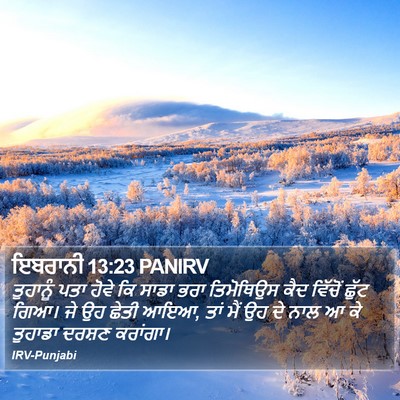 ਇਬਰਾਨੀ 13:23 PANIRV Bible Verse Image