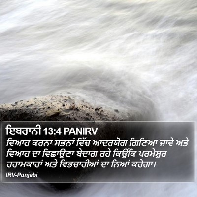 ਇਬਰਾਨੀ 13:4 PANIRV Bible Verse Image