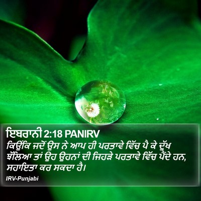 ਇਬਰਾਨੀ 2:18 PANIRV Bible Verse Image