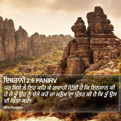 ਇਬਰਾਨੀ 2:6 PANIRV Bible Verse Image