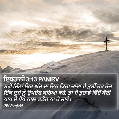 ਇਬਰਾਨੀ 3:13 PANIRV Bible Verse Image