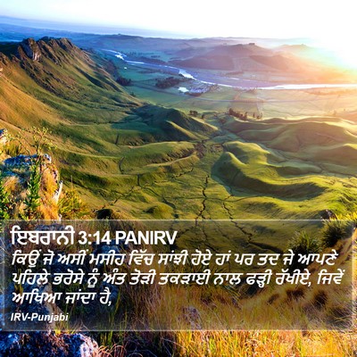ਇਬਰਾਨੀ 3:14 PANIRV Bible Verse Image