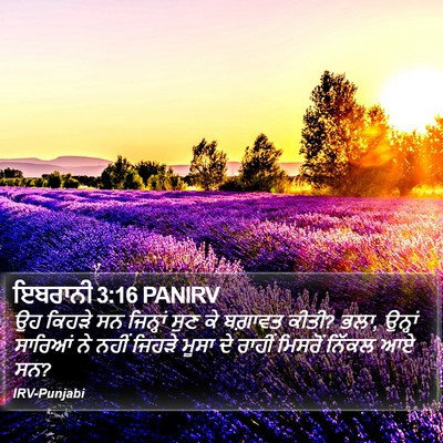 ਇਬਰਾਨੀ 3:16 PANIRV Bible Verse Image