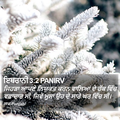 ਇਬਰਾਨੀ 3:2 PANIRV Bible Verse Image
