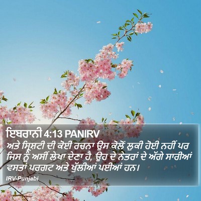 ਇਬਰਾਨੀ 4:13 PANIRV Bible Verse Image
