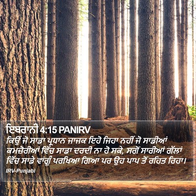 ਇਬਰਾਨੀ 4:15 PANIRV Bible Verse Image