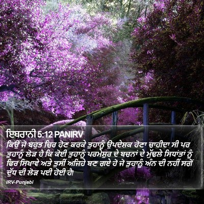 ਇਬਰਾਨੀ 5:12 PANIRV Bible Verse Image