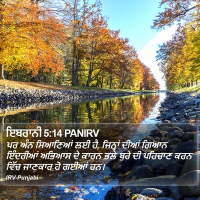 ਇਬਰਾਨੀ 5:14 PANIRV Bible Verse Image
