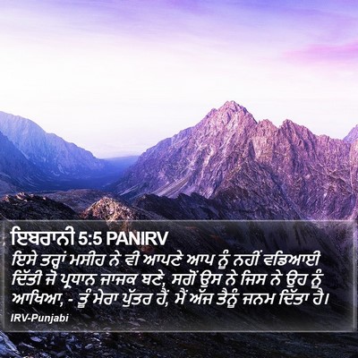 ਇਬਰਾਨੀ 5:5 PANIRV Bible Verse Image
