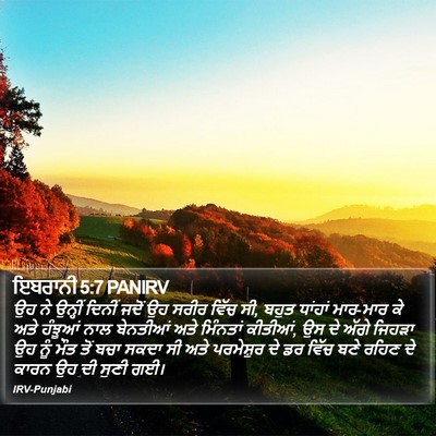 ਇਬਰਾਨੀ 5:7 PANIRV Bible Verse Image
