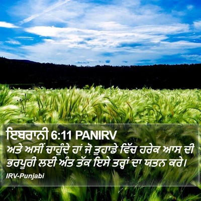 ਇਬਰਾਨੀ 6:11 PANIRV Bible Verse Image