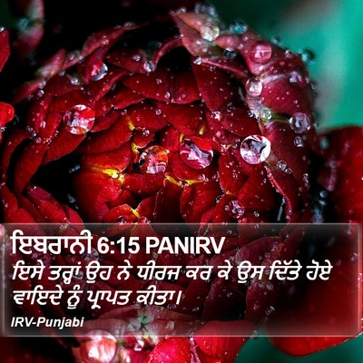 ਇਬਰਾਨੀ 6:15 PANIRV Bible Verse Image