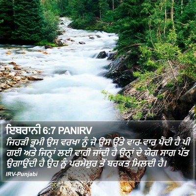 ਇਬਰਾਨੀ 6:7 PANIRV Bible Verse Image