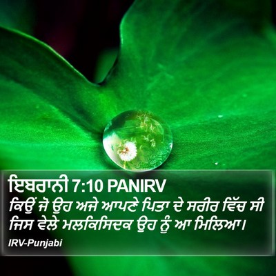 ਇਬਰਾਨੀ 7:10 PANIRV Bible Verse Image