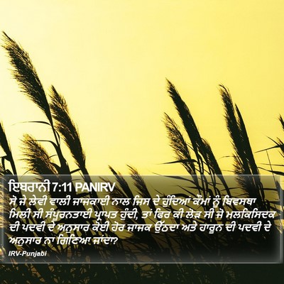 ਇਬਰਾਨੀ 7:11 PANIRV Bible Verse Image