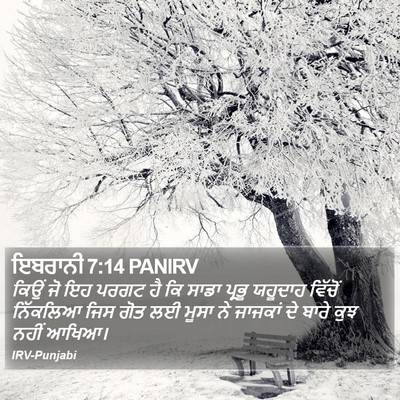 ਇਬਰਾਨੀ 7:14 PANIRV Bible Verse Image