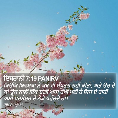 ਇਬਰਾਨੀ 7:19 PANIRV Bible Verse Image