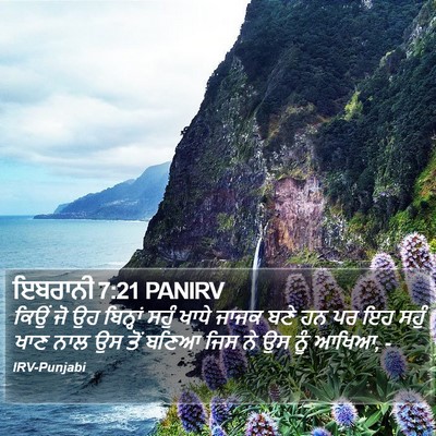 ਇਬਰਾਨੀ 7:21 PANIRV Bible Verse Image