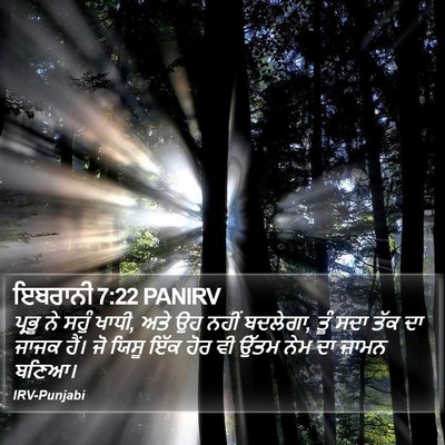 ਇਬਰਾਨੀ 7:22 PANIRV Bible Verse Image