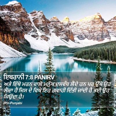 ਇਬਰਾਨੀ 7:8 PANIRV Bible Verse Image