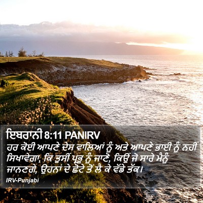 ਇਬਰਾਨੀ 8:11 PANIRV Bible Verse Image