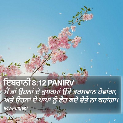 ਇਬਰਾਨੀ 8:12 PANIRV Bible Verse Image