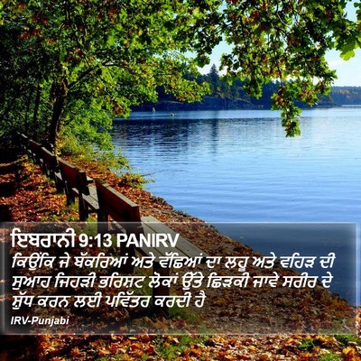 ਇਬਰਾਨੀ 9:13 PANIRV Bible Verse Image