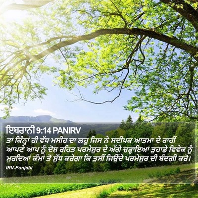 ਇਬਰਾਨੀ 9:14 PANIRV Bible Verse Image