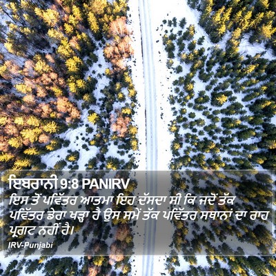 ਇਬਰਾਨੀ 9:8 PANIRV Bible Verse Image