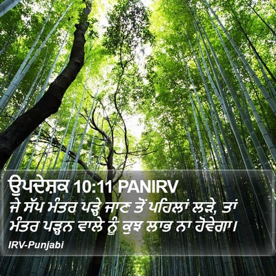ਉਪਦੇਸ਼ਕ 10:11 PANIRV Bible Verse Image