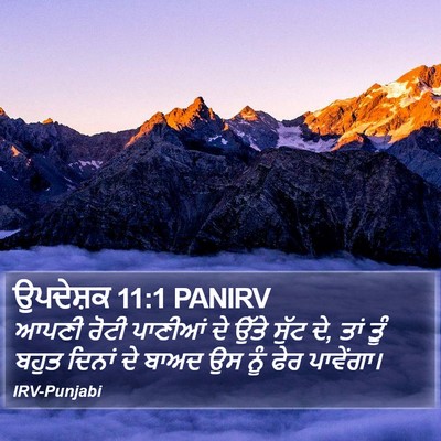 ਉਪਦੇਸ਼ਕ 11:1 PANIRV Bible Verse Image