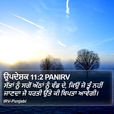 ਉਪਦੇਸ਼ਕ 11:2 PANIRV Bible Verse Image