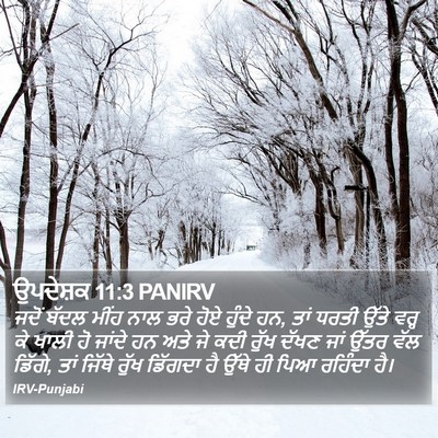 ਉਪਦੇਸ਼ਕ 11:3 PANIRV Bible Verse Image
