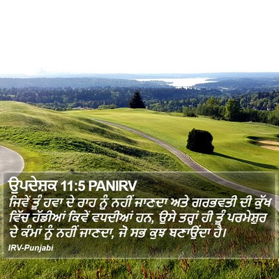 ਉਪਦੇਸ਼ਕ 11:5 PANIRV Bible Verse Image