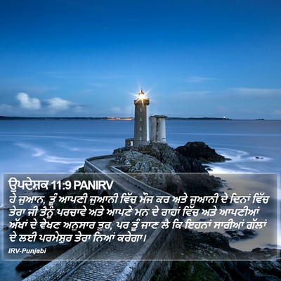 ਉਪਦੇਸ਼ਕ 11:9 PANIRV Bible Verse Image