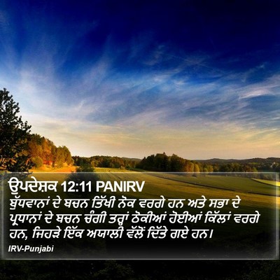 ਉਪਦੇਸ਼ਕ 12:11 PANIRV Bible Verse Image