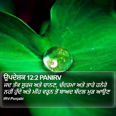 ਉਪਦੇਸ਼ਕ 12:2 PANIRV Bible Verse Image