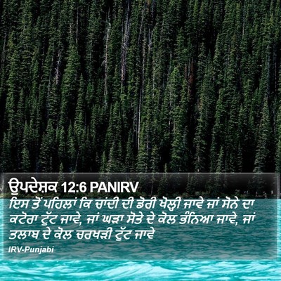 ਉਪਦੇਸ਼ਕ 12:6 PANIRV Bible Verse Image