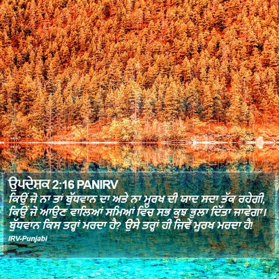 ਉਪਦੇਸ਼ਕ 2:16 PANIRV Bible Verse Image