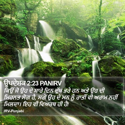 ਉਪਦੇਸ਼ਕ 2:23 PANIRV Bible Verse Image
