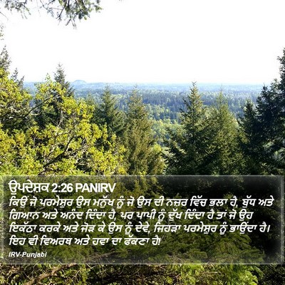 ਉਪਦੇਸ਼ਕ 2:26 PANIRV Bible Verse Image