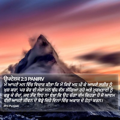 ਉਪਦੇਸ਼ਕ 2:3 PANIRV Bible Verse Image