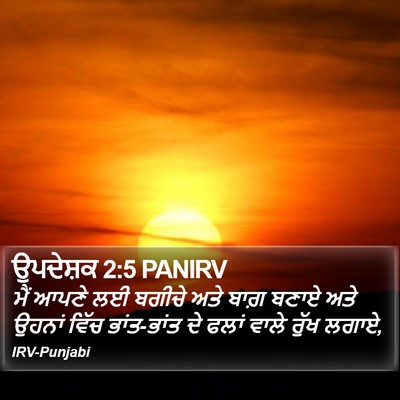 ਉਪਦੇਸ਼ਕ 2:5 PANIRV Bible Verse Image