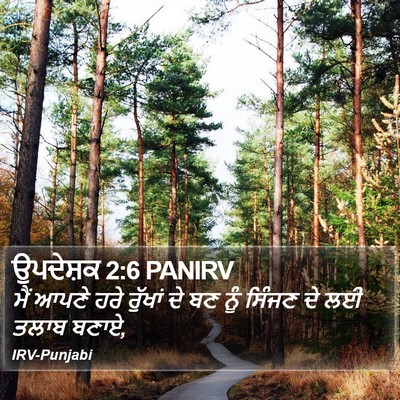 ਉਪਦੇਸ਼ਕ 2:6 PANIRV Bible Verse Image