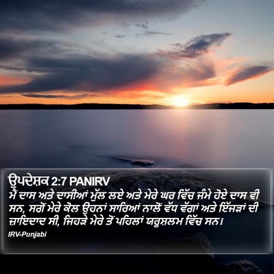 ਉਪਦੇਸ਼ਕ 2:7 PANIRV Bible Verse Image